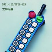 臺灣禹鼎防爆遙控器-BF21-12D/BF21-12S Yuding explosion proofremote controller