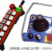 臺灣禹鼎遙控器 F24-8s  Taiwan Yuding remote controller F24-8S