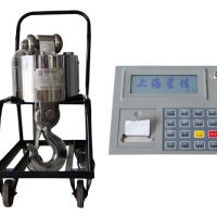 OCS-W5160電子吊鉤秤 OCS-W5160 electronic hook scale