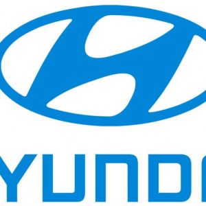 龍輝起重客戶:現(xiàn)代汽車