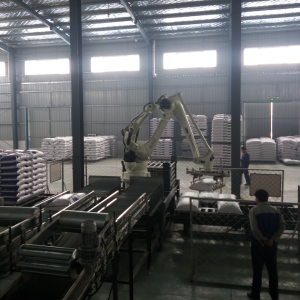 一機雙線雙側碼垛線