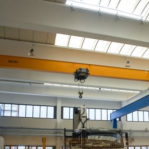巨型龍門吊  giant gantry crane