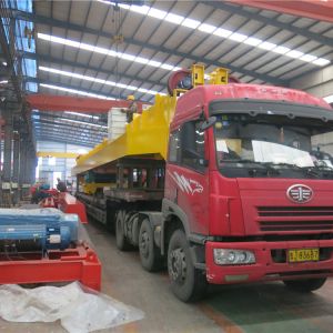 2018010448、2018010449 吊鉤起重機(jī)QD20-23.5