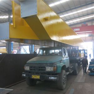 2018010396 電動(dòng)葫蘆雙梁起重機(jī)LH40,10-28.5