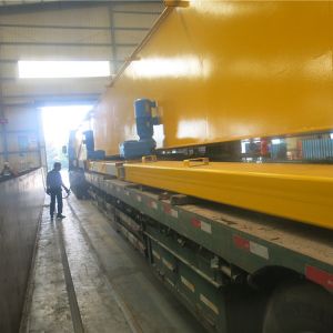 2018010430歐式雙梁起重機(jī)ORDD10-36