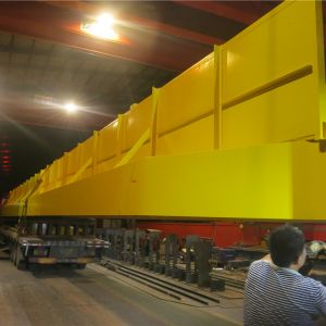 2018010584雙梁橋式起重機(jī)QD20/5-28.5