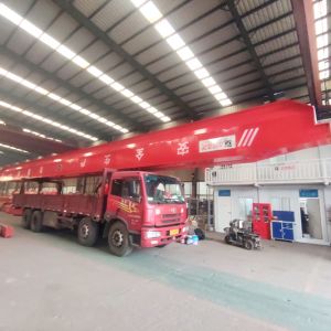 2021330056-LD10T-21.72M電動(dòng)單梁起重機(jī)