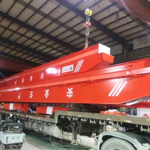 2021330440-LD10t-22.5m H=9m A3電動(dòng)單梁起重機(jī)