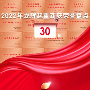 滿載榮光,行穩致遠 | 2022年,龍輝起重新獲榮譽盤點